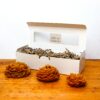 Pack 3 aromas naturales velas rosas distintos tamaños
