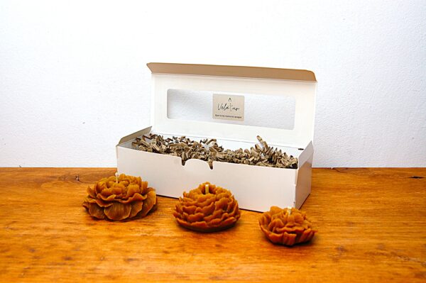 Pack 3 aromas naturales velas rosas distintos tamaños