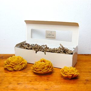 Pack Velas Rosas Distinto tamaños