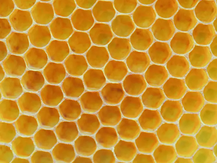laminas de cera de abeja